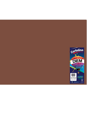 CARTULINA 50X66 IRIS CFE.TAB.C/25