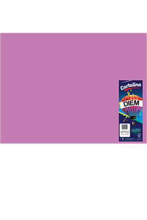 CARTULINA 50X66 IRIS PURPURA C/25