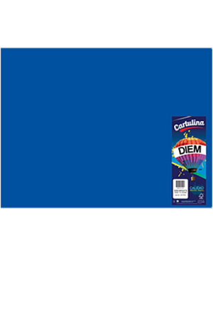 CARTULINA 50X66 IRIS SUP.COB.C/25