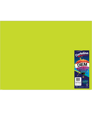 CARTULINA 50X66 IRIS VDE.ELE.C/25
