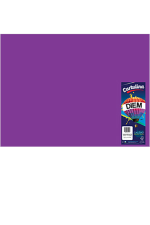 CARTULINA 50X66 IRIS VIOLETA C/25