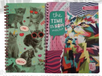 CUAD.PROF.100H BASIC GIRL  C-7 DO ESTILO