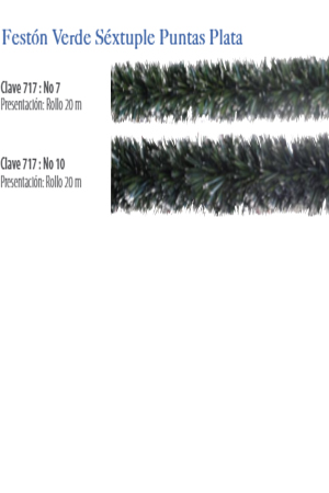 ROLLO GUIA FESTON SEXT.PUNT.PTA #07 VDE. 554366 7170720122 JA