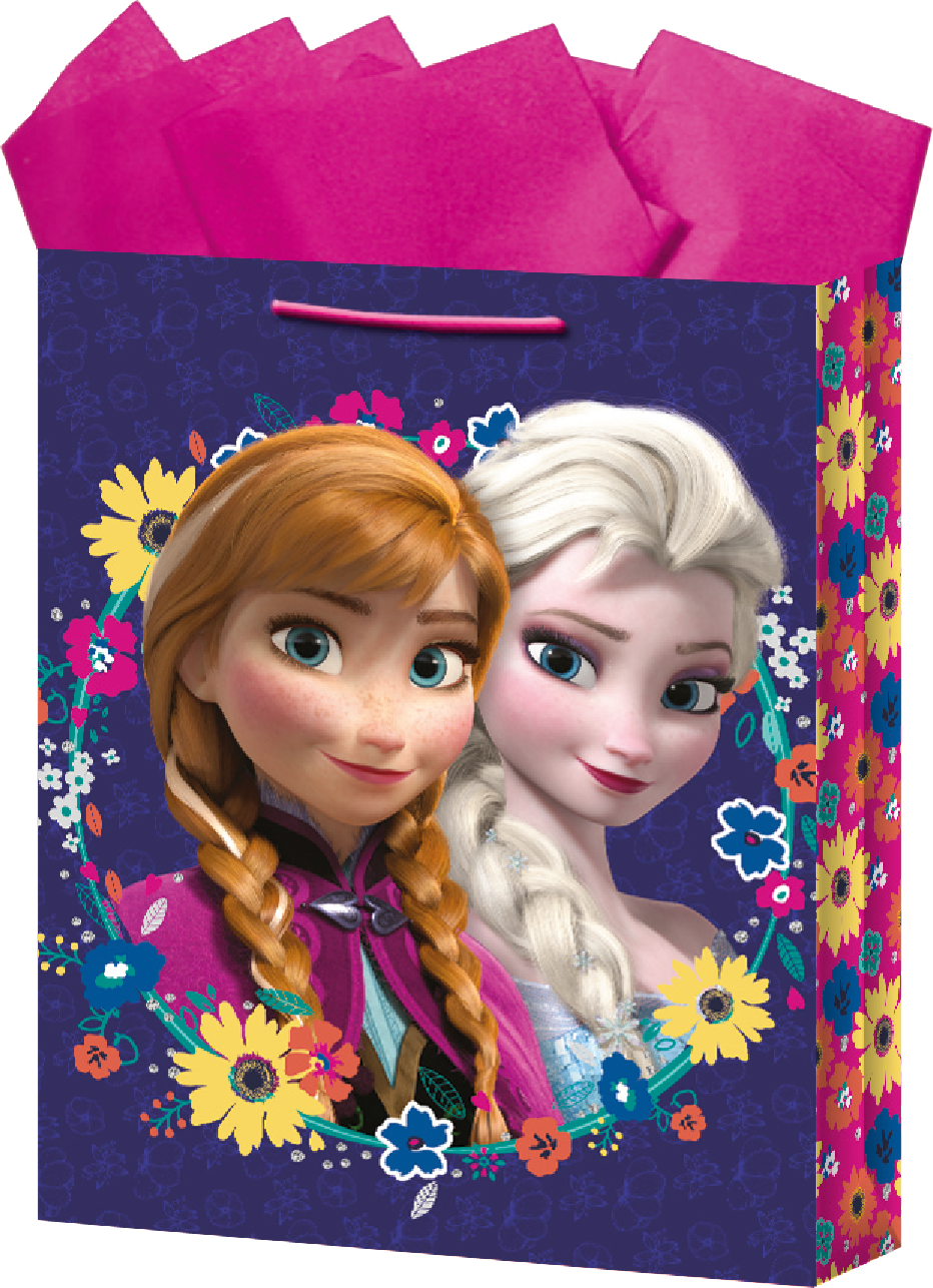BOLSA REG.GDE. FROZEN              DIPAK 817032 5120031814 41