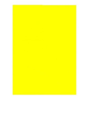 FOMI EXTENDIDO  AMARILLO MANGO      C/10