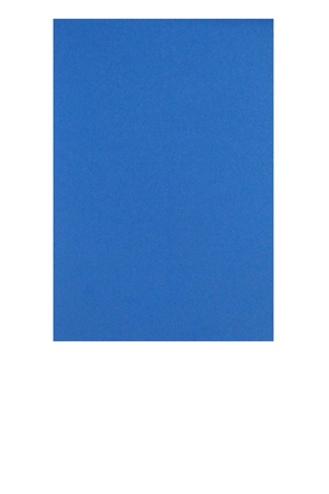 FOMI EXTENDIDO  AZUL REY            C/10