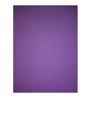 FOMI EXTENDIDO  LILA                C/10 999454 1Z10-113 70CM