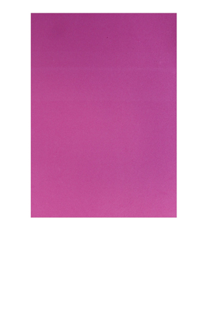 FOMI EXTENDIDO  ROSA MEXICANO  205  C/10