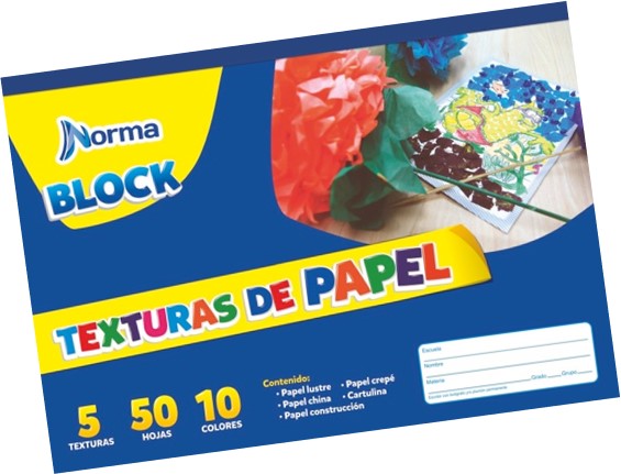 BLOCK PAPEL TEXTUR.24X34 50H 10 COL.NORM