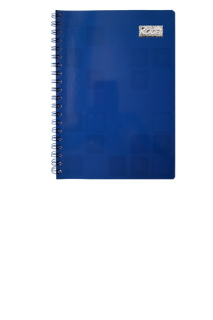 LIBRETA P.D. 240H FF RAYA    255118 ROCA