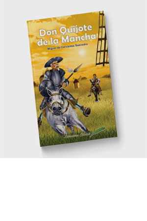 LIBRO DON QUIJOTE DE LA MANCHA       RAF 903852 1020001 LITER