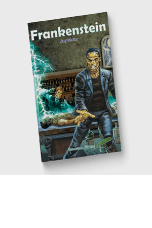 Z LIBRO FRANKENSTEIN                   R 917194 1020009 LITER
