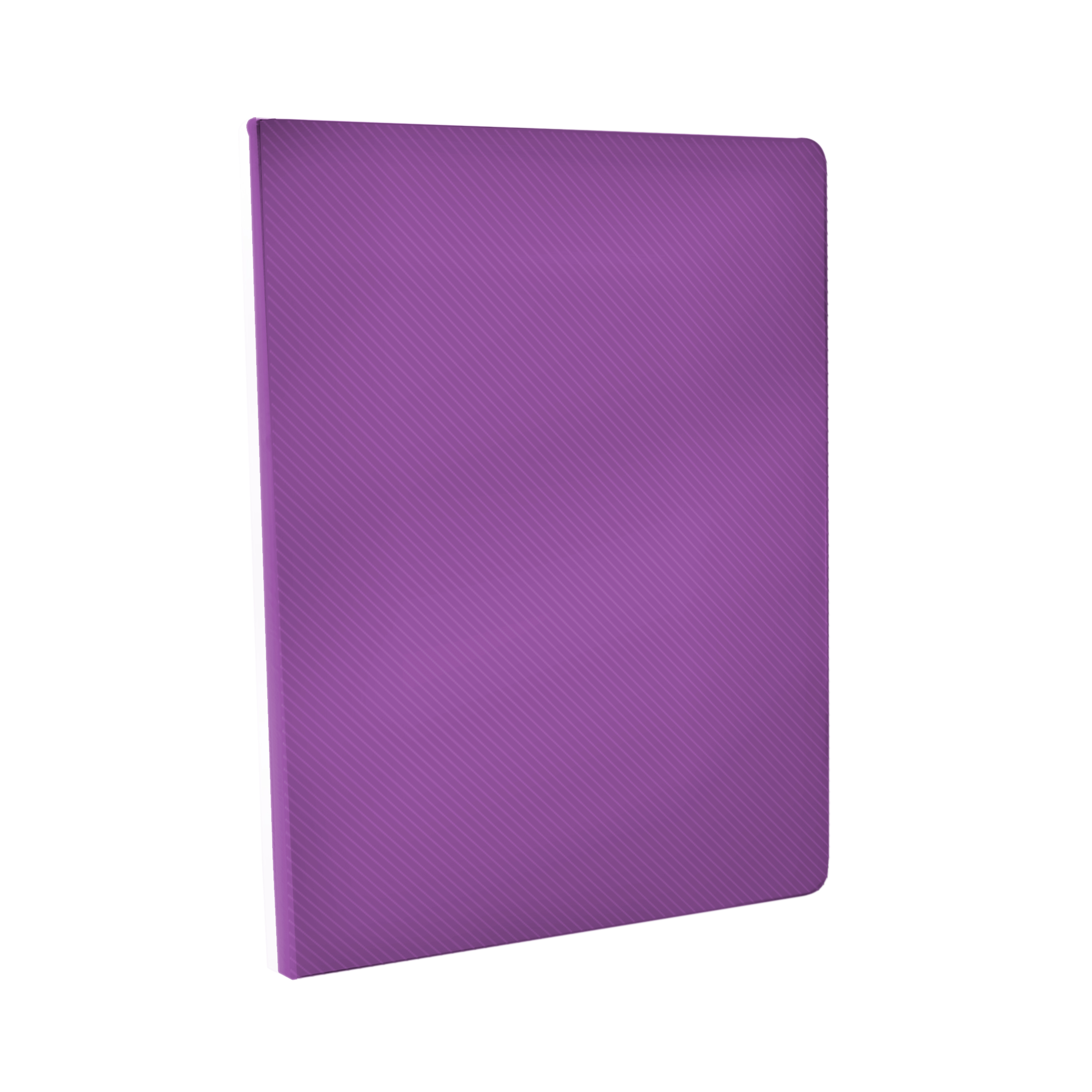 PASTA CTA.PLAST.MORADO   TRANSP.RAYA GBC 014138 25JGS 14PTS 6