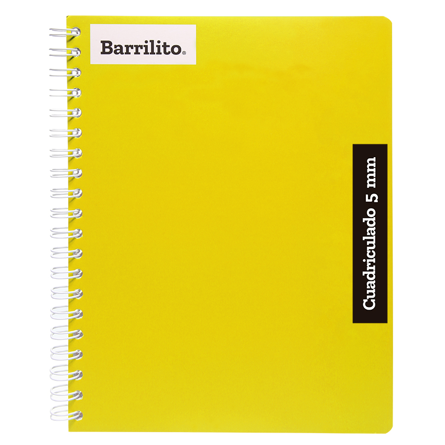 CUAD.PROF.100H COLORES     C-5 DO  BARRI 987444 PEC5