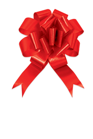 MOÑOS P/REGALO CELOMAG.PON PON  MED.C/25 4900000102 ROJO JANE