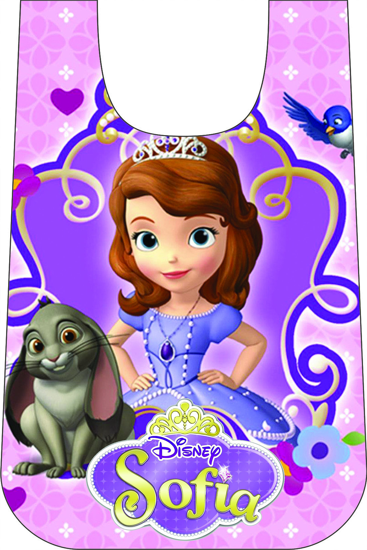 MANDIL INFANTIL PLAST.T/CAMIS.PRIN.SOFIA