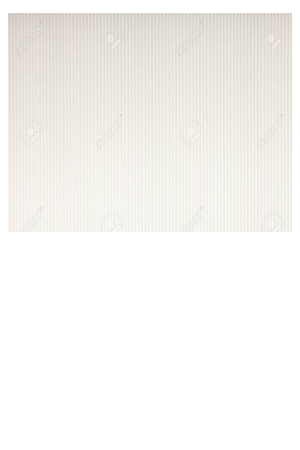 PAPEL CORRUGADO EXTENDIDO BLANCO    C/10