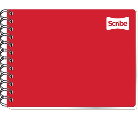 CUAD.ESP. FI RYA 100H S1500       SCRIBE