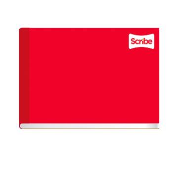 CUAD.ENG. FI C-7 100H S6133       SCRIBE