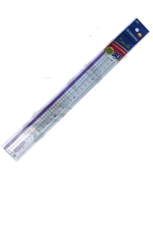 REGLA PROF.PLAST.30CMS   673     SABONIS