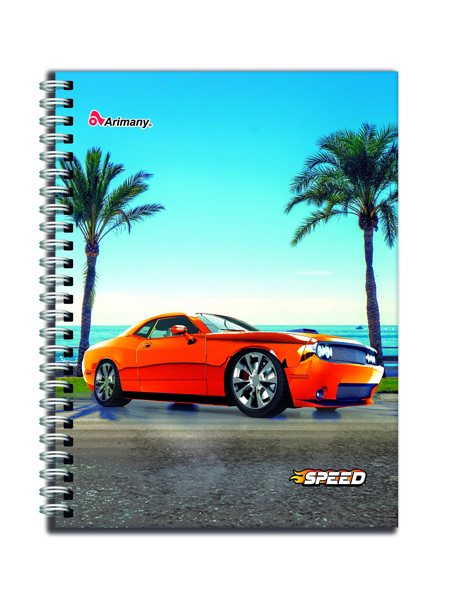 CUAD.PROF.100H SPEED       C-7 SR ARIMAN