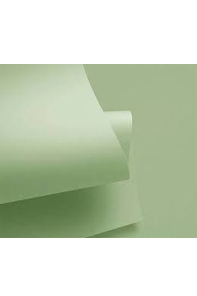 CARTULINA 50X65 IRIS VERDE PASTEL  COLOR 301649 PLUS 180GRS C