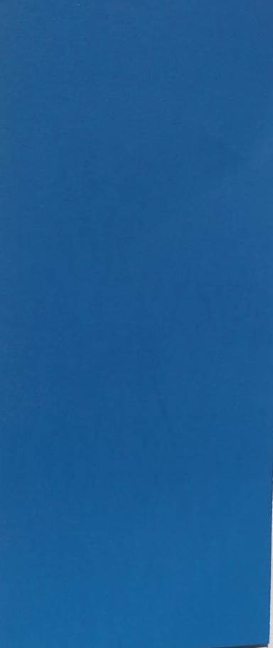 CARTULINA 50X65 REFLECT AZUL C/25 IMPERI