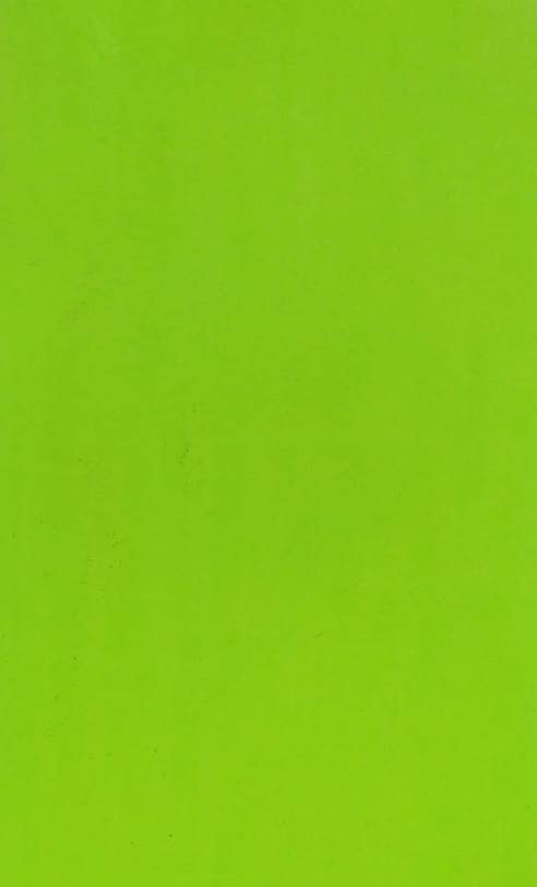 CARTULINA FL. 47X66 VDE.L. C/25