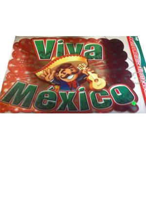 POSTERS FIESTA  DE MEXICO METALICO  PADI 010065 1006-5 (38.0X