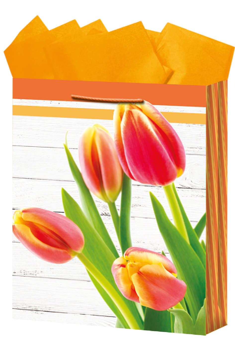 BOLSA REG.GDE. DAMA            CELEBRATE 899632 5127135204