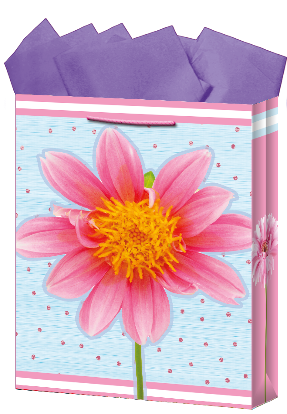 BOLSA REG.GDE. DAMA                DIPAK 825037 003494 612005