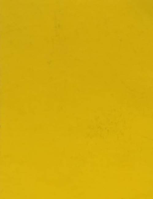 CARTULINA 50X65 REFLECT AMAR.C/25 IMPERI