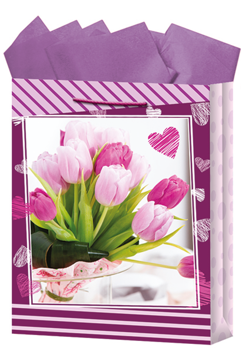 BOLSA REG.GDE. DAMA SAN VALENTIN   DIPAK 825235 6220035915 42