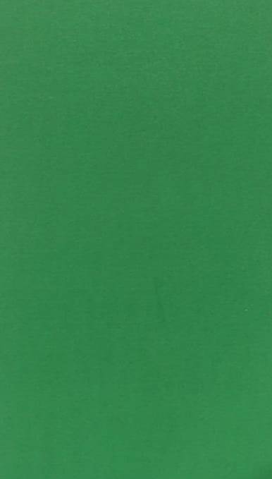 CARTULINA 50X65 REFLECT VERD.C/25 IMPERI