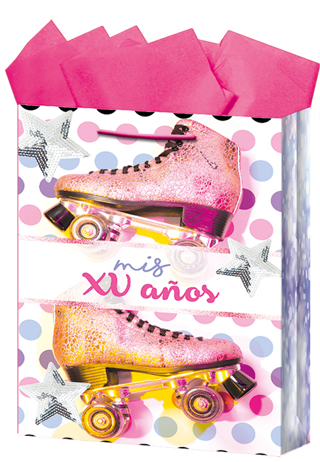 BOLSA REG.CHIC.XV AÑOS             DIPAK 825013 001551 512001
